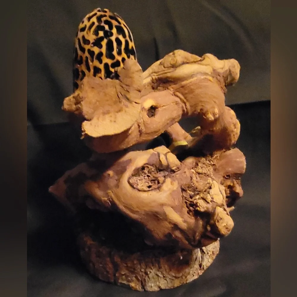 Whimsical Morel Mushroom & Gnome Wood Burned Sculpture - Picture 2 of 2